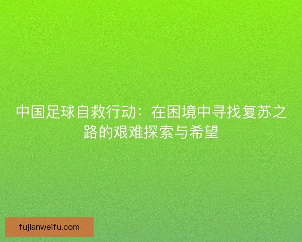 中国足球自救行动：在困境中寻找复苏之路的艰难探索与希望